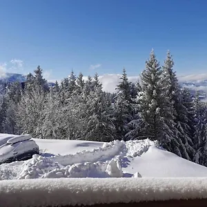 T2 Edelweiss 1750 Acces Piste Direct Local Alpes Montagne Appartement